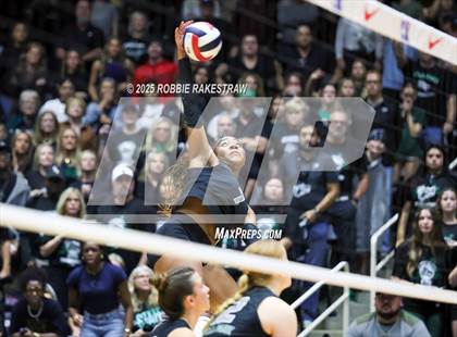 Thumbnail 1 in Cedar Park vs. Argyle (UIL 5A D2 Volleyball Final) photogallery.