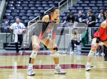 Thumbnail 1 in Cedar Park vs. Argyle (UIL 5A D2 Volleyball Final) photogallery.