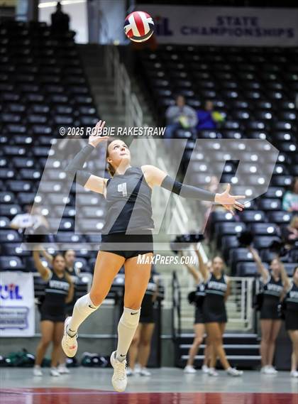 Thumbnail 3 in Cedar Park vs. Argyle (UIL 5A D2 Volleyball Final) photogallery.