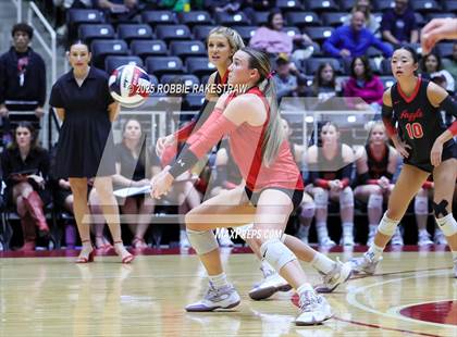 Thumbnail 1 in Cedar Park vs. Argyle (UIL 5A D2 Volleyball Final) photogallery.