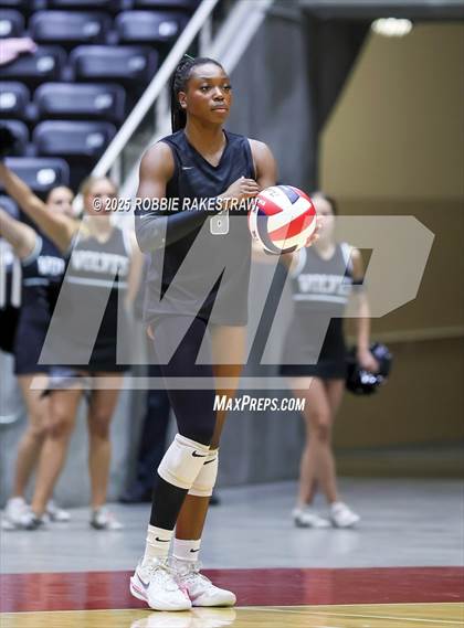 Thumbnail 3 in Cedar Park vs. Argyle (UIL 5A D2 Volleyball Final) photogallery.