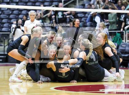 Thumbnail 2 in Cedar Park vs. Argyle (UIL 5A D2 Volleyball Final) photogallery.