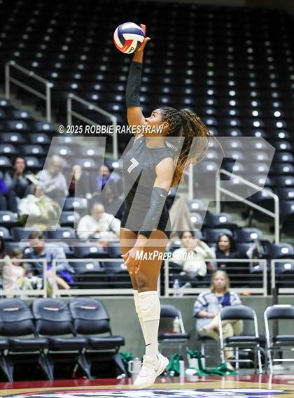 Thumbnail 3 in Cedar Park vs. Argyle (UIL 5A D2 Volleyball Final) photogallery.