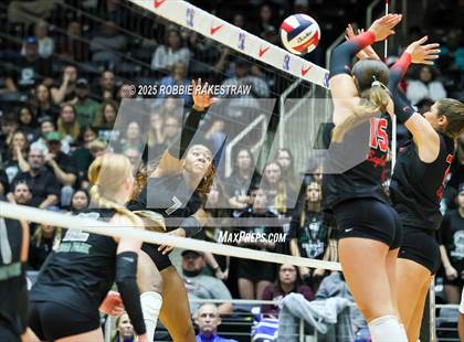 Thumbnail 2 in Cedar Park vs. Argyle (UIL 5A D2 Volleyball Final) photogallery.