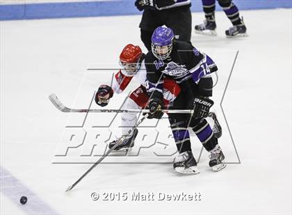 Thumbnail 2 in North Branford vs. Conard (CIAC Division II Semifinal) photogallery.