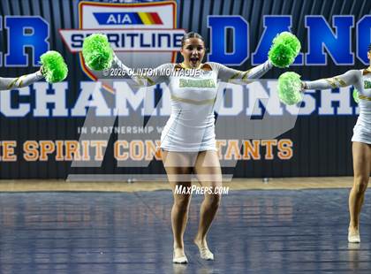 Thumbnail 2 in Basha (AIA Division I Final) photogallery.