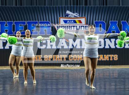 Thumbnail 1 in Basha (AIA Division I Final) photogallery.