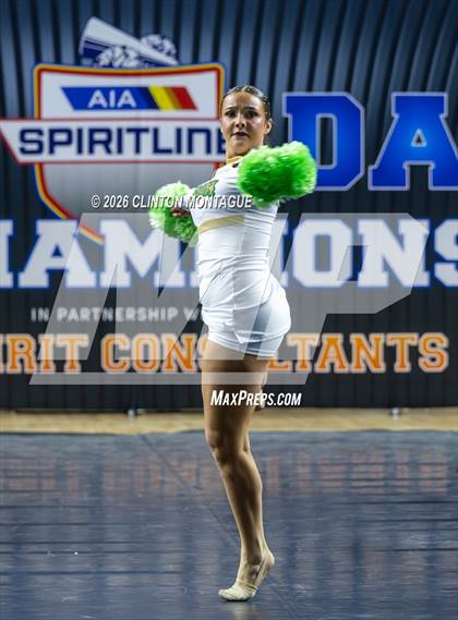 Thumbnail 3 in Basha (AIA Division I Final) photogallery.