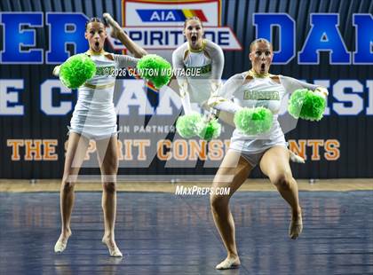 Thumbnail 1 in Basha (AIA Division I Final) photogallery.