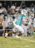 Photo from the gallery "Los Osos @ Sultana"