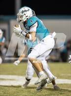 Photo from the gallery "Los Osos @ Sultana"