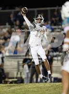 Photo from the gallery "Los Osos @ Sultana"