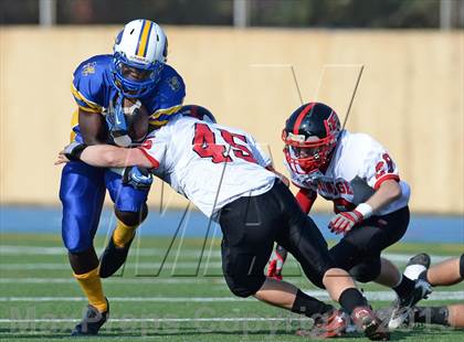 Thumbnail 1 in Plainedge @ Lawrence photogallery.