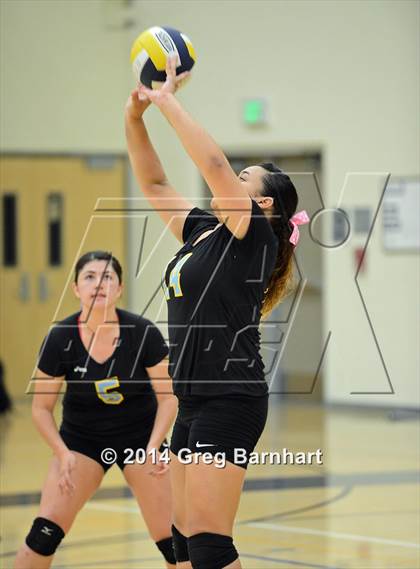Thumbnail 1 in Yuba City vs. River City photogallery.
