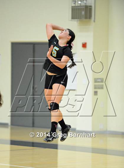 Thumbnail 1 in Yuba City vs. River City photogallery.