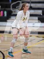 Photo from the gallery "Patrick Henry @ Mission Bay"