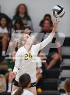 Photo from the gallery "Patrick Henry @ Mission Bay"