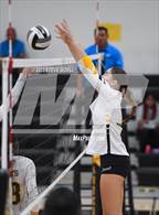 Photo from the gallery "Patrick Henry @ Mission Bay"