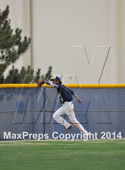Thumbnail 1 in Chatfield @ Columbine photogallery.