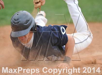Thumbnail 1 in Chatfield @ Columbine photogallery.
