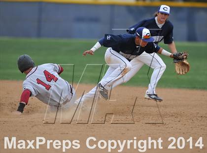 Thumbnail 2 in Chatfield @ Columbine photogallery.