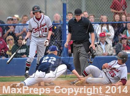 Thumbnail 2 in Chatfield @ Columbine photogallery.