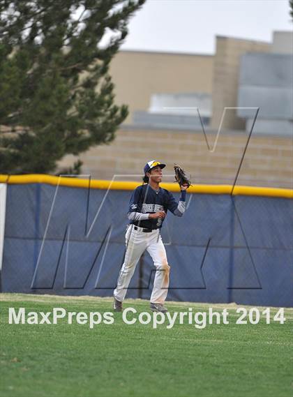 Thumbnail 1 in Chatfield @ Columbine photogallery.