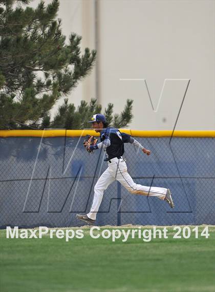 Thumbnail 2 in Chatfield @ Columbine photogallery.