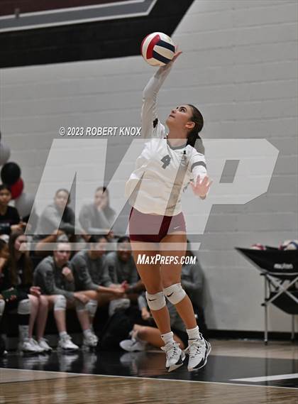 Thumbnail 1 in Basha @ Hamilton photogallery.