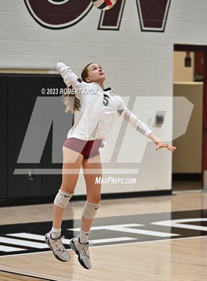 Thumbnail 1 in Basha @ Hamilton photogallery.