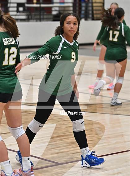 Thumbnail 3 in Basha @ Hamilton photogallery.