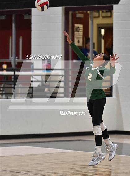 Thumbnail 2 in Basha @ Hamilton photogallery.