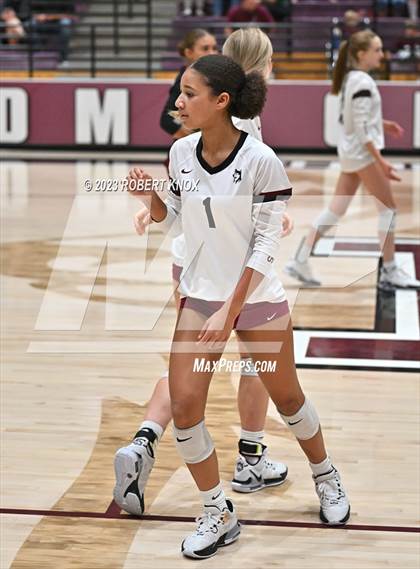 Thumbnail 3 in Basha @ Hamilton photogallery.