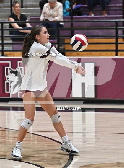 Thumbnail 3 in Basha @ Hamilton photogallery.