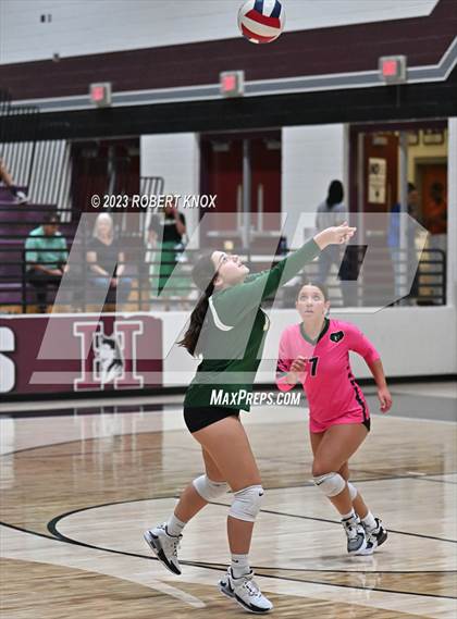 Thumbnail 1 in Basha @ Hamilton photogallery.