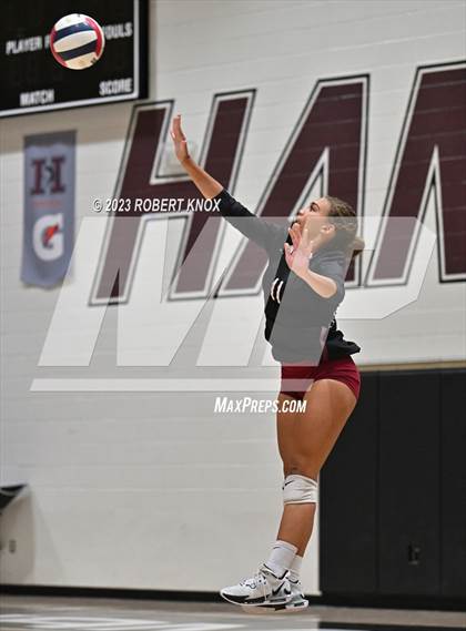 Thumbnail 3 in Basha @ Hamilton photogallery.