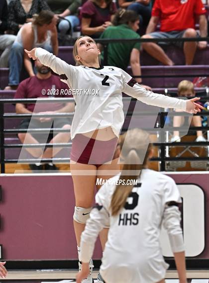 Thumbnail 2 in Basha @ Hamilton photogallery.
