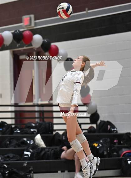 Thumbnail 1 in Basha @ Hamilton photogallery.