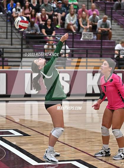 Thumbnail 2 in Basha @ Hamilton photogallery.