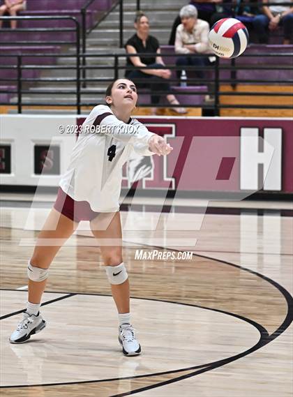 Thumbnail 2 in Basha @ Hamilton photogallery.