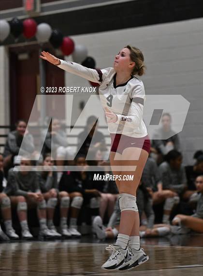 Thumbnail 3 in Basha @ Hamilton photogallery.