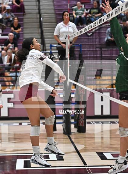 Thumbnail 1 in Basha @ Hamilton photogallery.