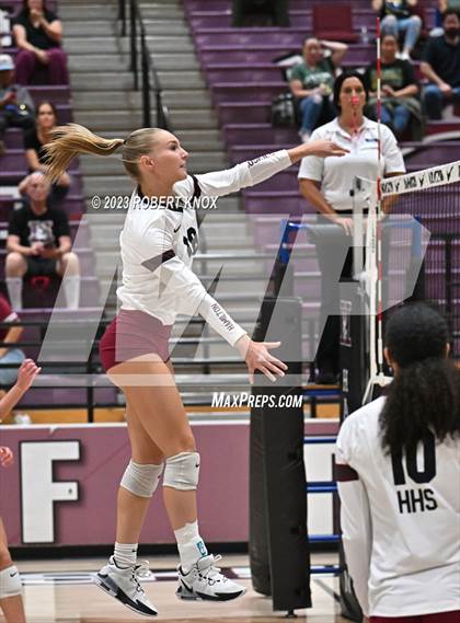 Thumbnail 1 in Basha @ Hamilton photogallery.