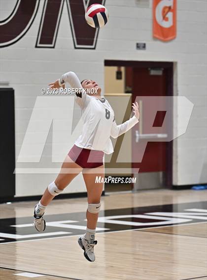 Thumbnail 1 in Basha @ Hamilton photogallery.