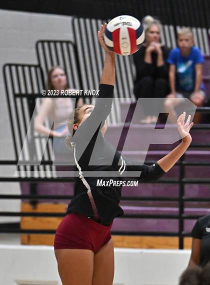 Thumbnail 2 in Basha @ Hamilton photogallery.