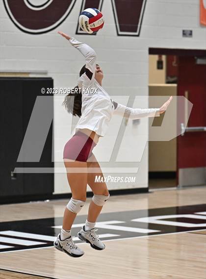 Thumbnail 1 in Basha @ Hamilton photogallery.