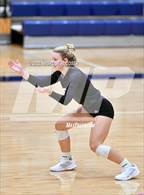 Photo from the gallery "Steele vs. Klein"