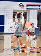 Photo from the gallery "Steele vs. Klein"