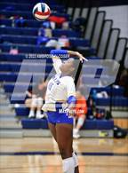 Photo from the gallery "Steele vs. Klein"