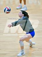 Photo from the gallery "Steele vs. Klein"